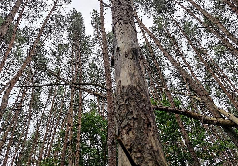 Hintergrund