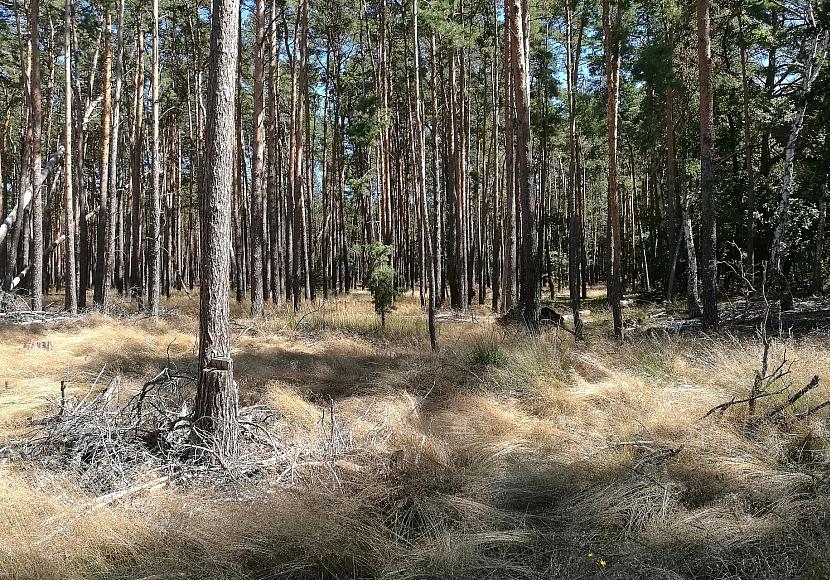 Hintergrund