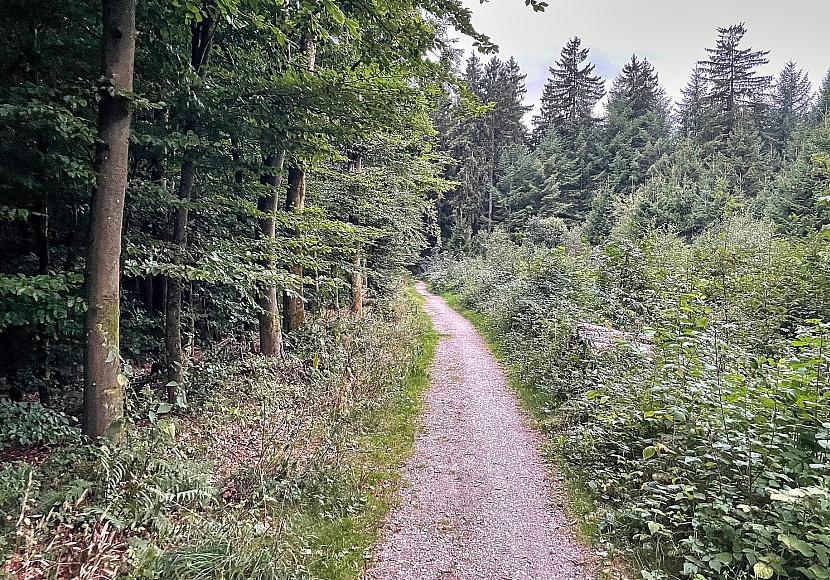 Hintergrund