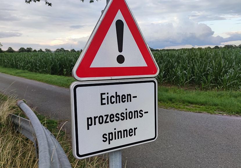 Hintergrund