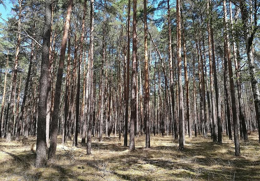 Hintergrund