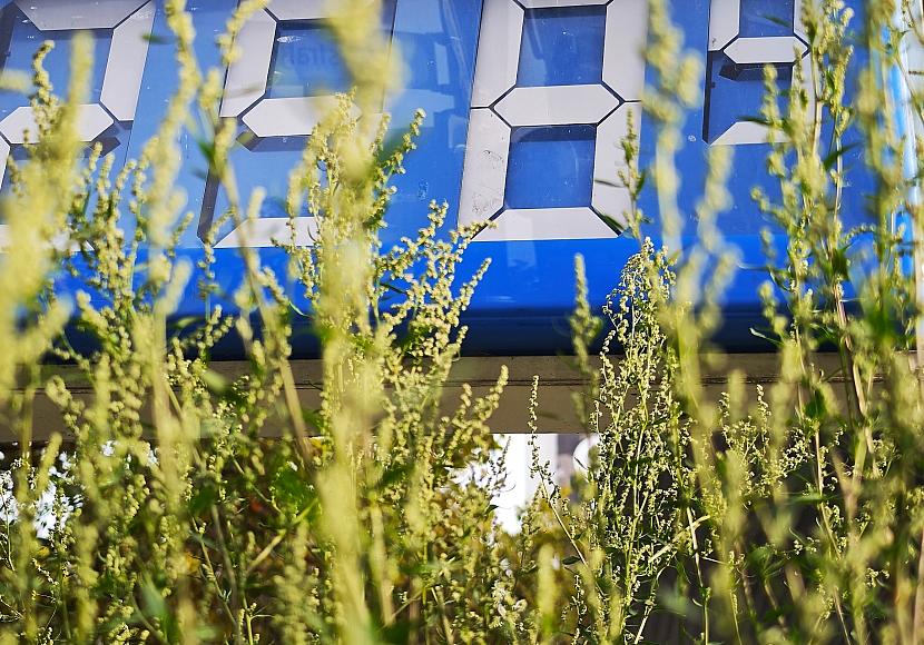 Hintergrund