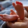Was machen Babylotsen?