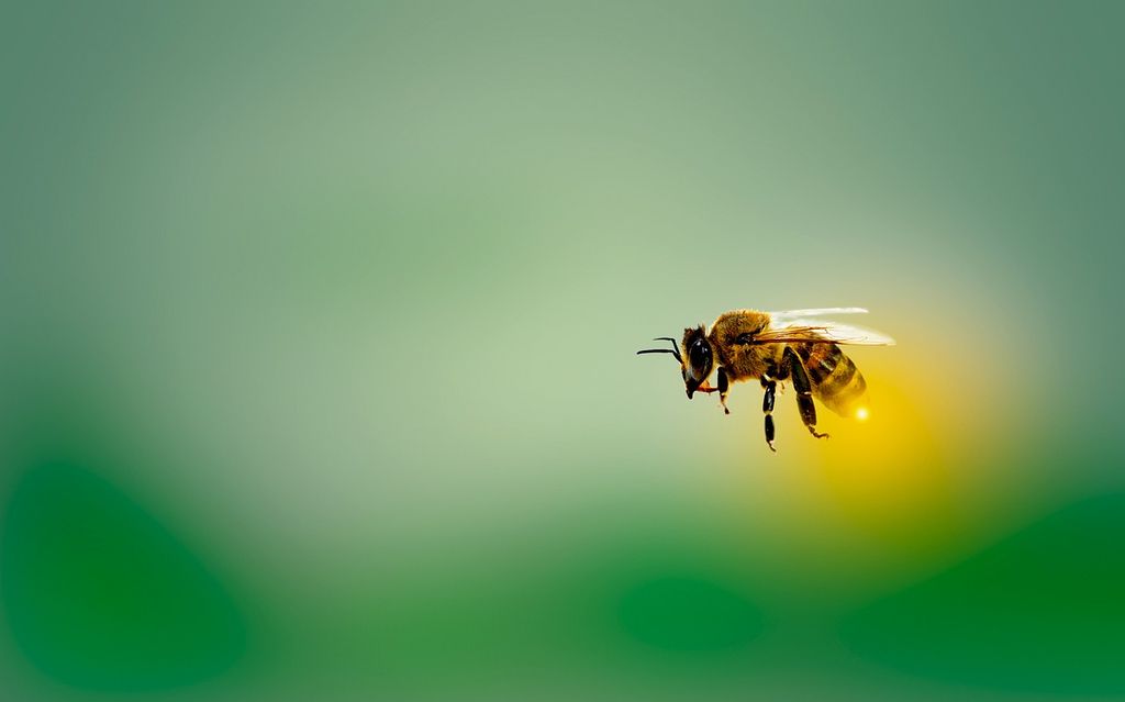 Hintergrund