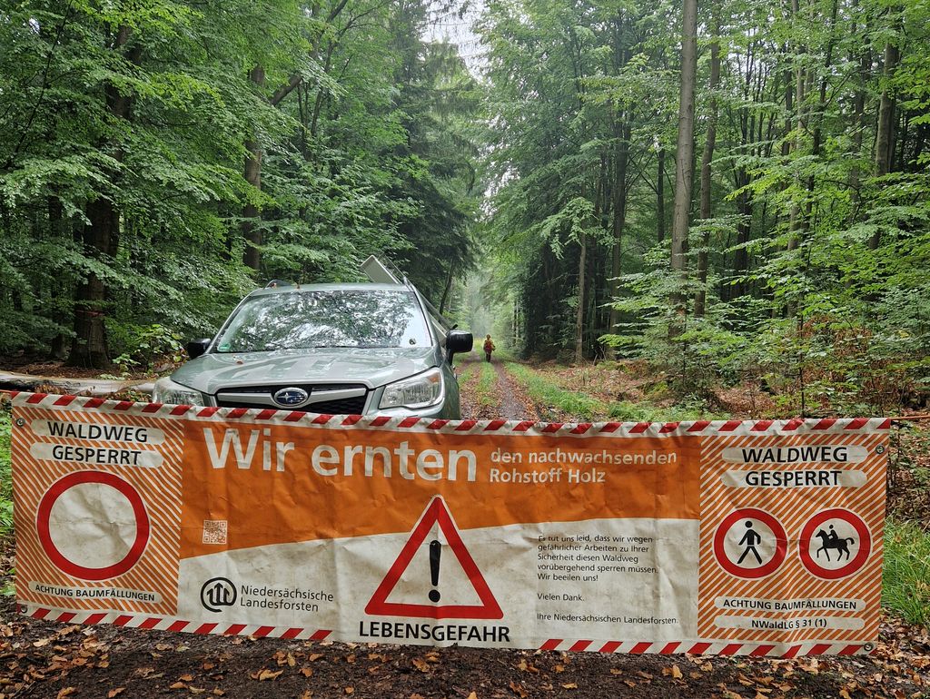 Hintergrund