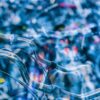 Studie zum Mobilitätsverhalten