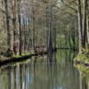 Grenzübergreifender Naturschutz zwischen Landkreisen Osnabrück und Steinfurt